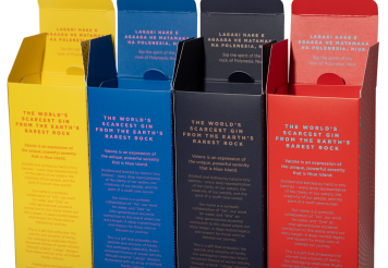 Vaione Gin Gift Cartons