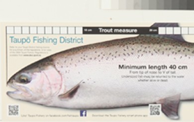 Trout Measure<br />
