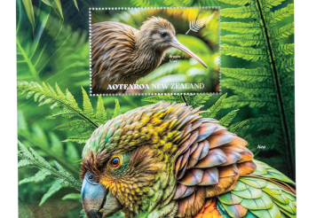 New Zealand Bird Series