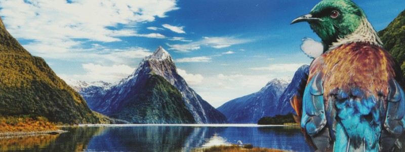 New Zealand Postcard - Milford Sound <br />
